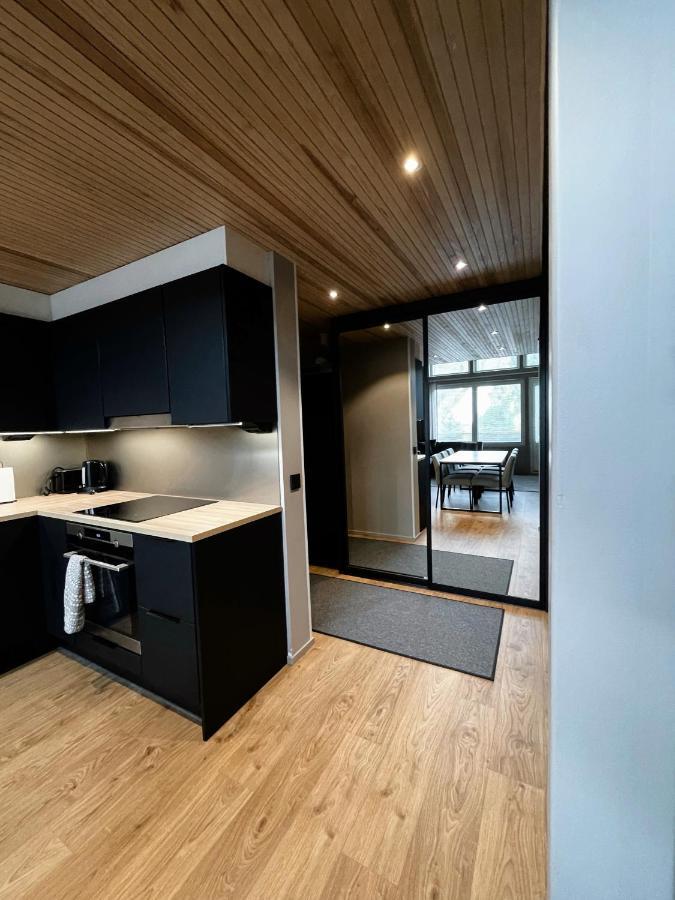 Levin Kunkku B Penthouse Aparthotel ภายนอก รูปภาพ